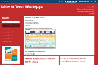 Interactive Learning Pages | netboard.me