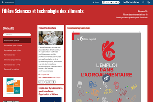 Interactive Learning Pages | netboard.me