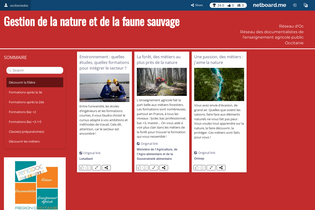 Interactive Learning Pages | netboard.me