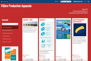 Interactive Learning Pages | netboard.me