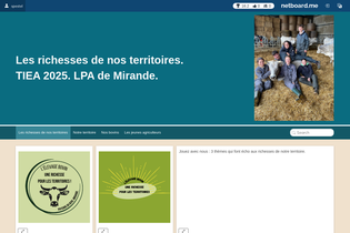 Interactive Learning Pages | netboard.me