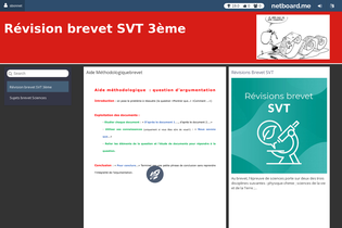 Interactive Learning Pages | netboard.me