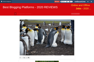 Interactive Learning Pages | netboard.me
