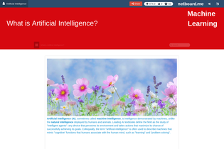 Interactive Learning Pages | netboard.me