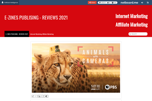 Interactive Learning Pages | netboard.me