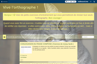 Interactive Learning Pages | netboard.me
