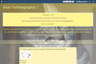 Interactive Learning Pages | netboard.me