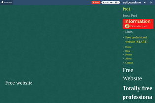 Interactive Learning Pages | netboard.me
