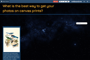 Interactive Learning Pages | netboard.me