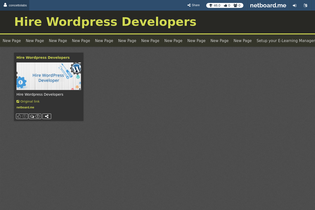 Interactive Learning Pages | netboard.me