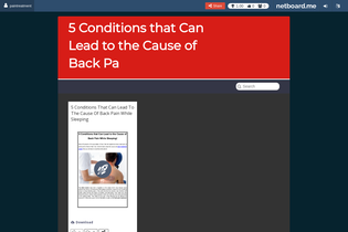 Interactive Learning Pages | netboard.me