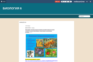 Interactive Learning Pages | netboard.me