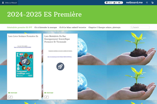 Interactive Learning Pages | netboard.me