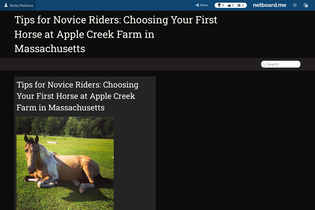 Interactive Learning Pages | netboard.me