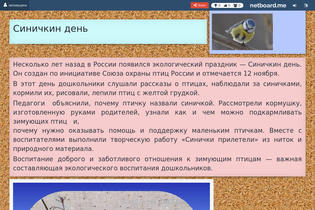 Interactive Learning Pages | netboard.me