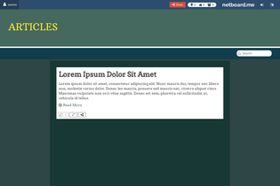 Interactive Learning Pages | netboard.me