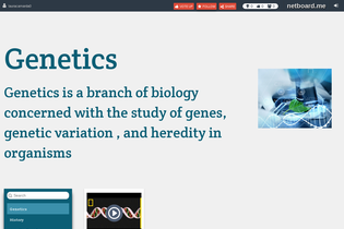 Interactive Learning Pages | netboard.me