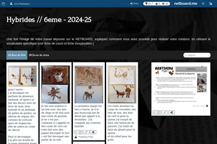 Interactive Learning Pages | netboard.me