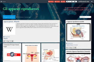 Interactive Learning Pages | netboard.me