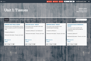 Interactive Learning Pages | netboard.me