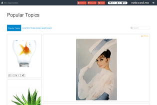 Interactive Learning Pages | netboard.me