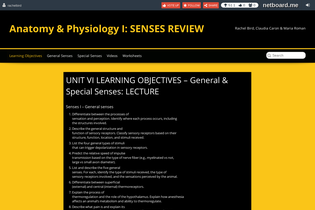 Interactive Learning Pages | netboard.me