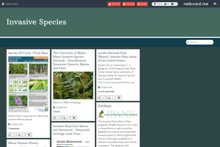 Interactive Learning Pages | netboard.me