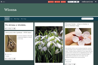 Interactive Learning Pages | netboard.me