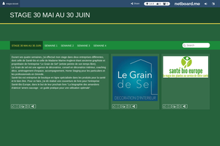 Interactive Learning Pages | netboard.me