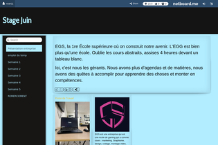Interactive Learning Pages | netboard.me