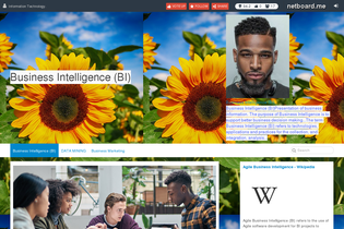 Interactive Learning Pages | netboard.me