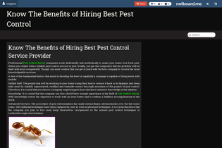 Interactive Learning Pages | netboard.me