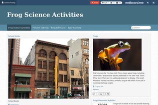 Interactive Learning Pages | netboard.me