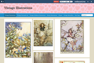 Interactive Learning Pages | netboard.me