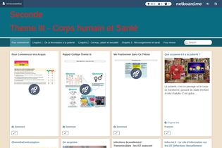 Interactive Learning Pages | netboard.me