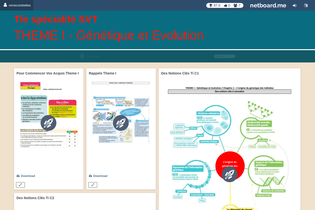 Interactive Learning Pages | netboard.me