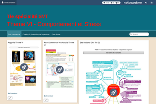 Interactive Learning Pages | netboard.me