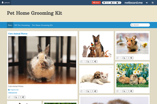 Interactive Learning Pages | netboard.me