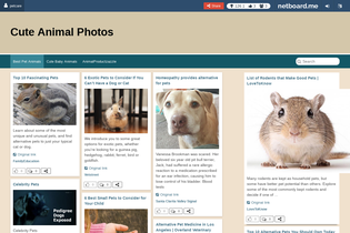 Interactive Learning Pages | netboard.me