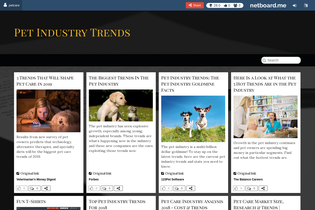 Interactive Learning Pages | netboard.me