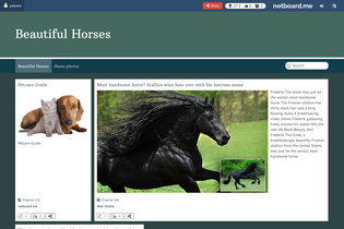 Interactive Learning Pages | netboard.me