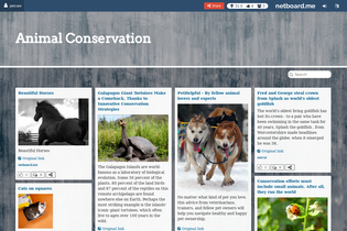 Interactive Learning Pages | netboard.me