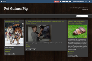 Interactive Learning Pages | netboard.me
