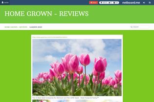 Interactive Learning Pages | netboard.me