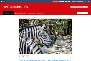 Interactive Learning Pages | netboard.me