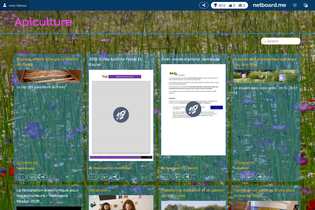 Interactive Learning Pages | netboard.me