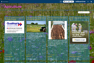 Interactive Learning Pages | netboard.me