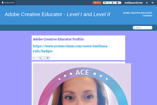 Interactive Learning Pages | netboard.me