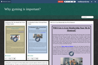 Interactive Learning Pages | netboard.me