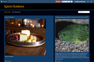 Interactive Learning Pages | netboard.me